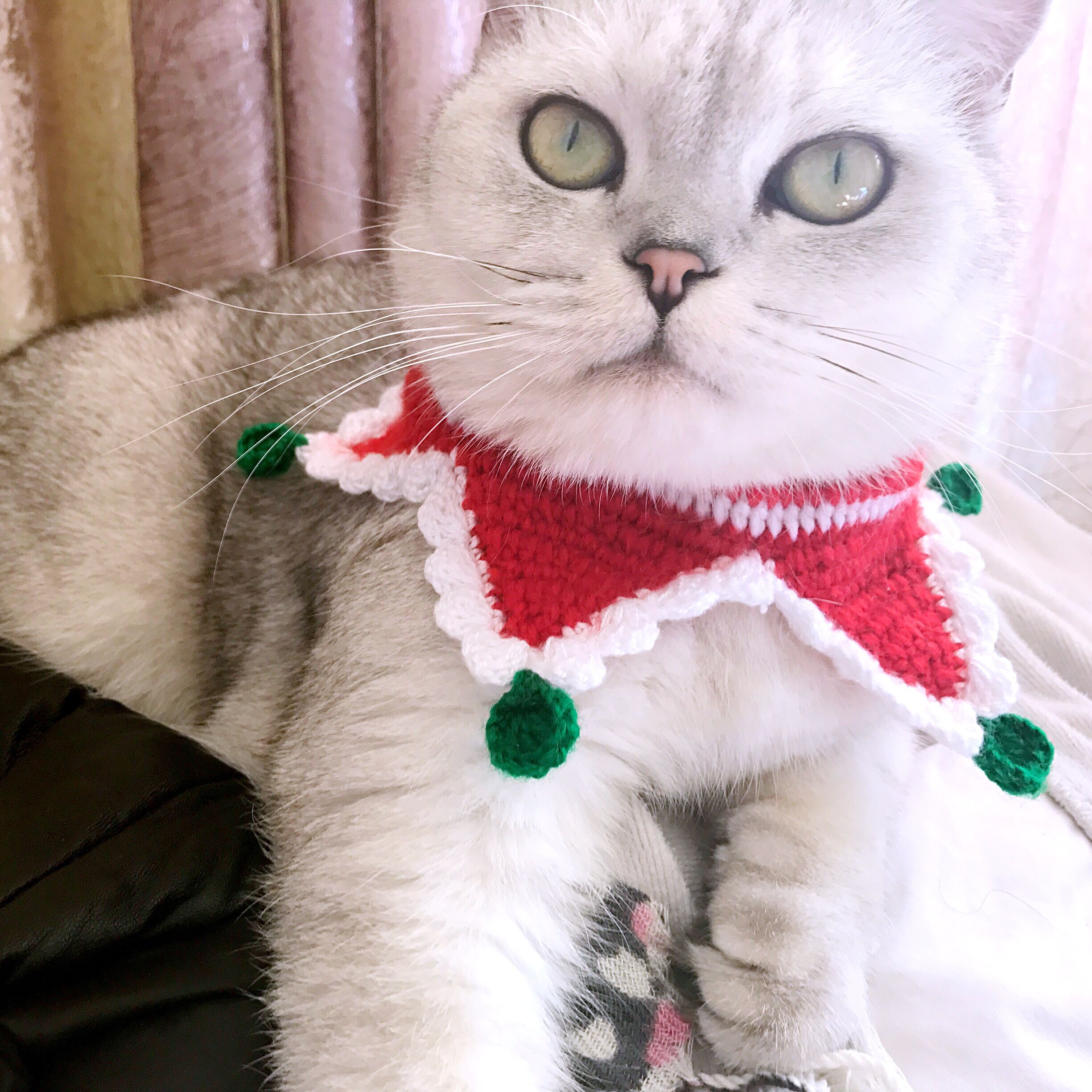 【天天特价】手工圣诞猫咪毛线围脖宠物狗泰迪配饰围巾