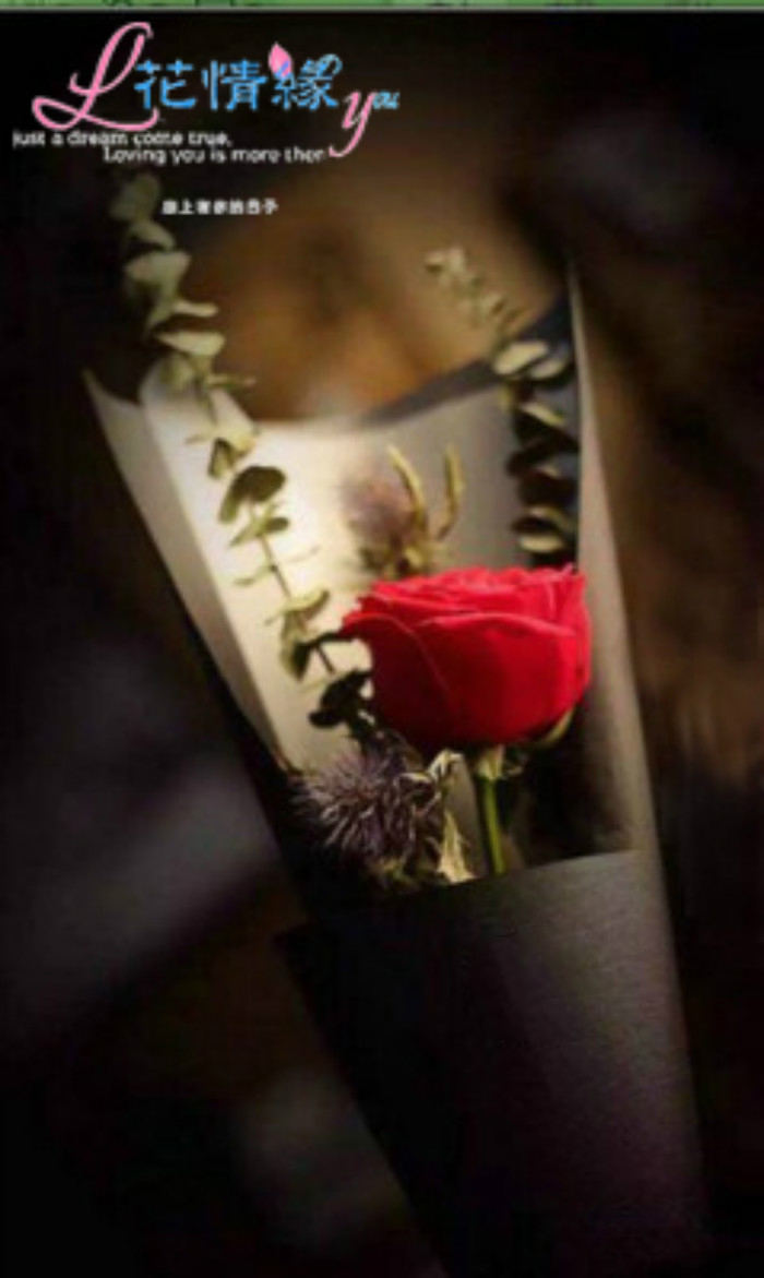 1朵单支单只玫瑰花康乃馨向日葵 鲜花速递 同城 北京活动节日包月