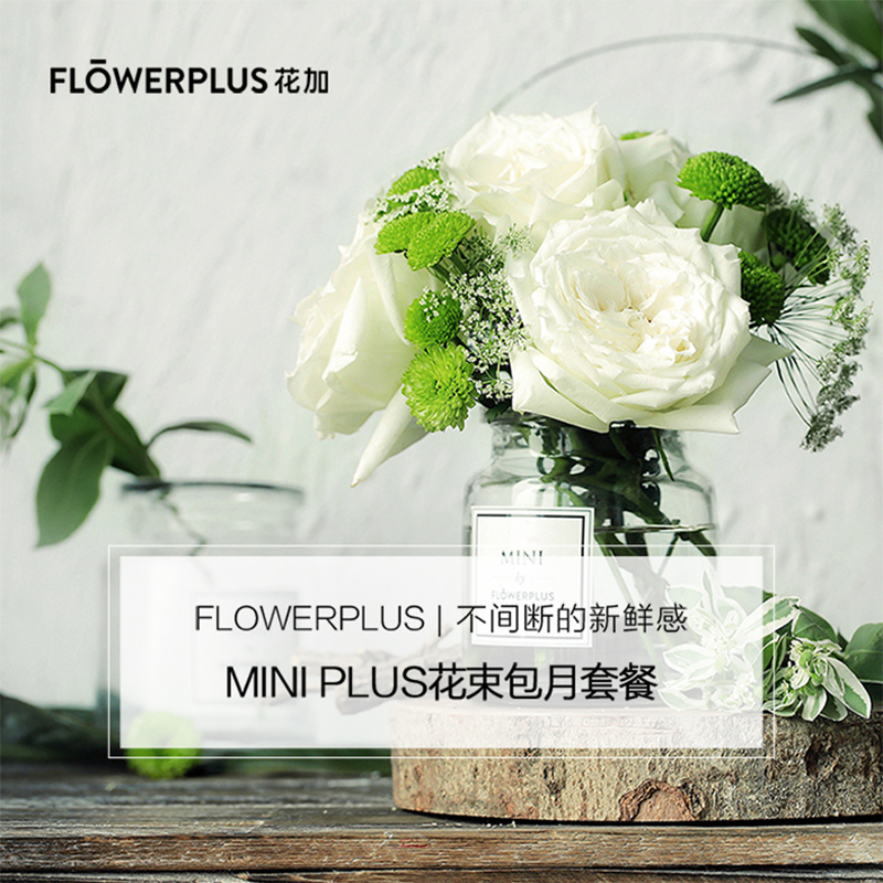 flowerplus【花+】MINIPLUS花束包月鲜花速递居家办公新年礼物