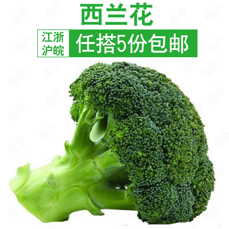 西兰花 新鲜优质西蓝花 绿色蔬菜花椰菜 500g江浙沪皖5件包邮