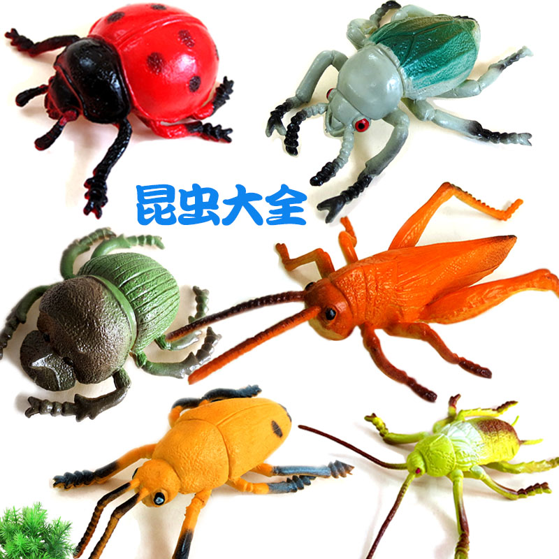 散装仿真动物昆虫模型蜻蜓儿童塑胶玩具动物模型套装蝉瓢虫螳螂