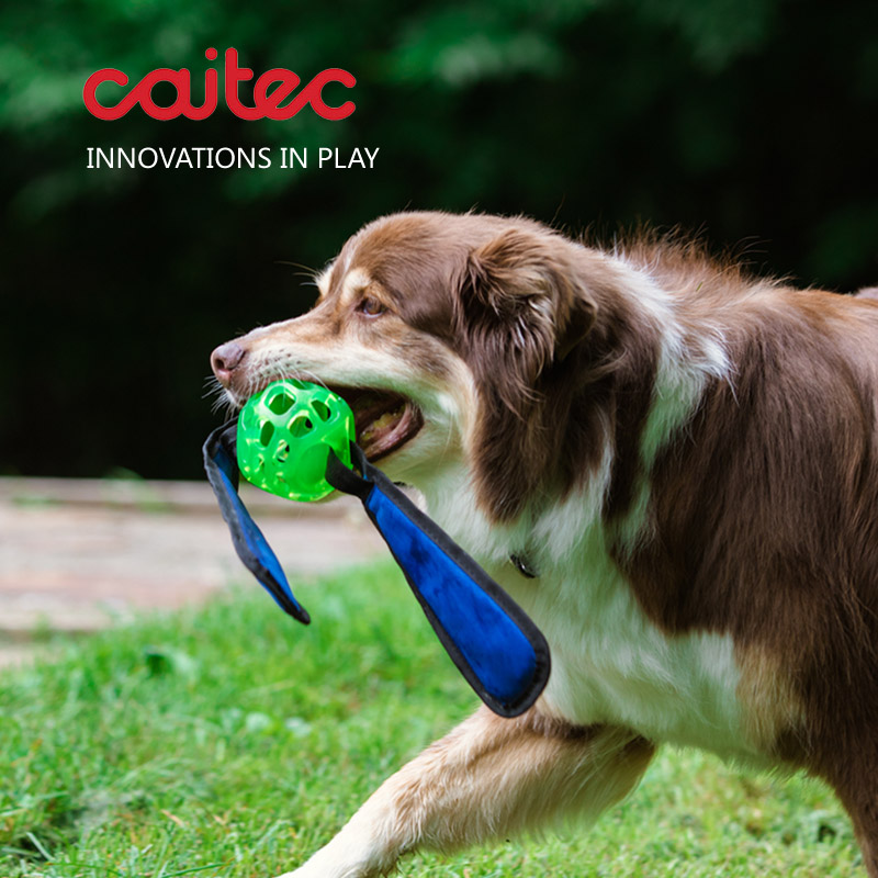 CAITEC狗狗漏食玩具藏食玩具布条藏食球藏食棒缓食慢食益智玩具