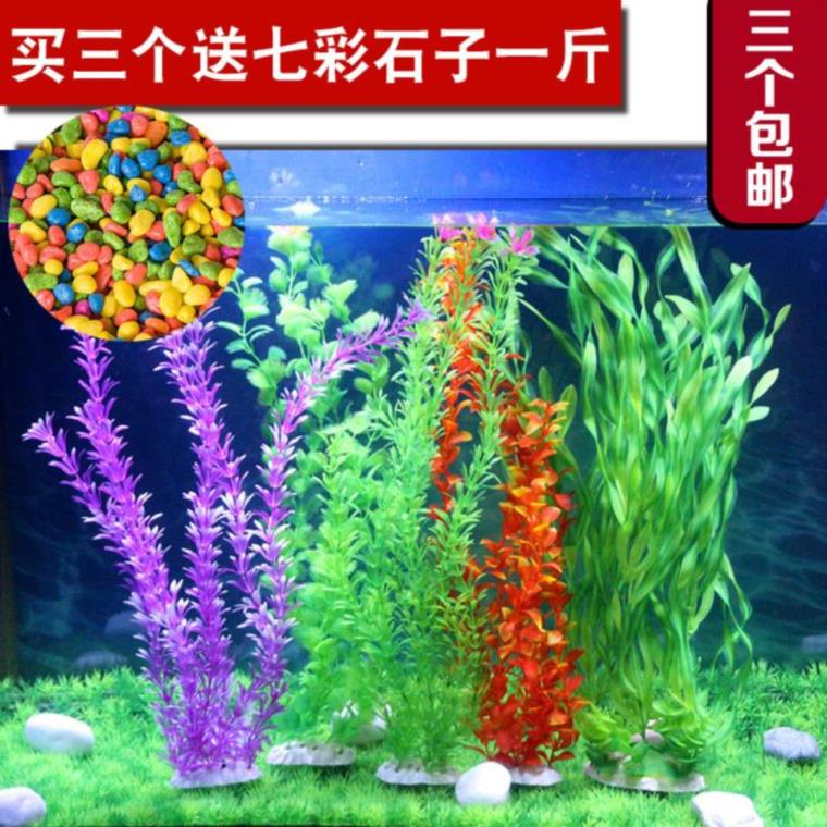 水族箱放在种植鱼缸塑料里的水下水草植物假大号草装饰品花草四季