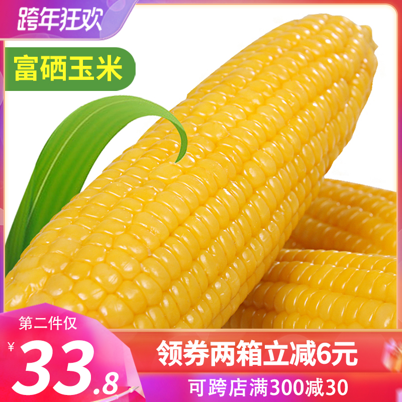 【富硒玉米】禾久有机甜糯玉米新鲜粘黏玉米棒真空装代餐包邮8根