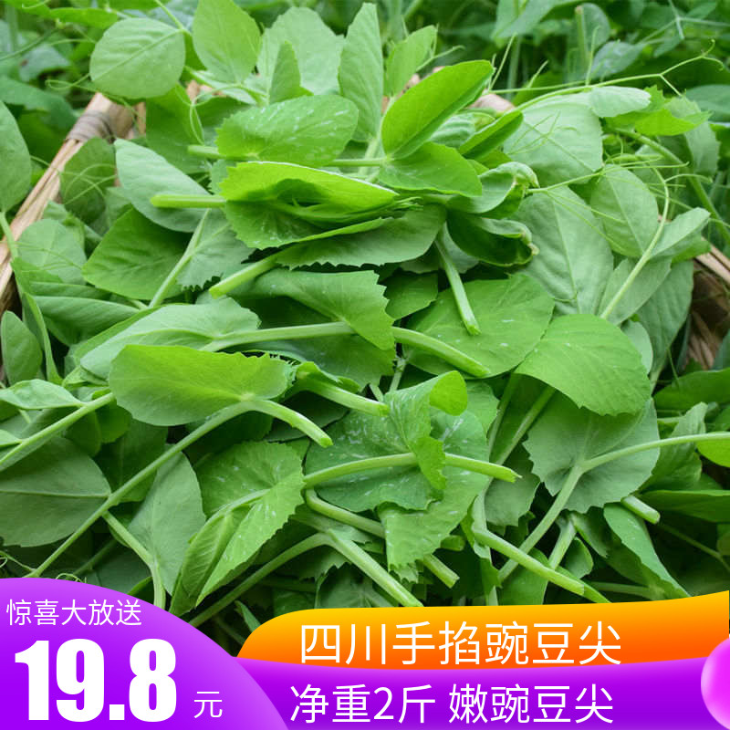 四川新鲜豌豆尖净重2斤龙须菜豌豆苗叶青净菜应季蔬菜