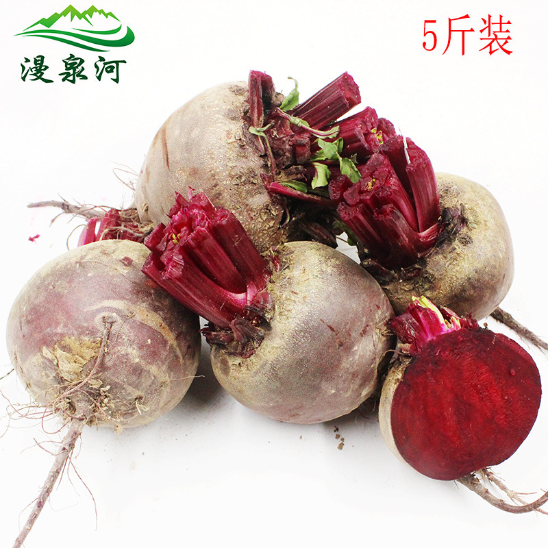 【漫泉河】新鲜甜菜根 5斤装 红菜头 紫菜头 蔬菜农产品多省包邮