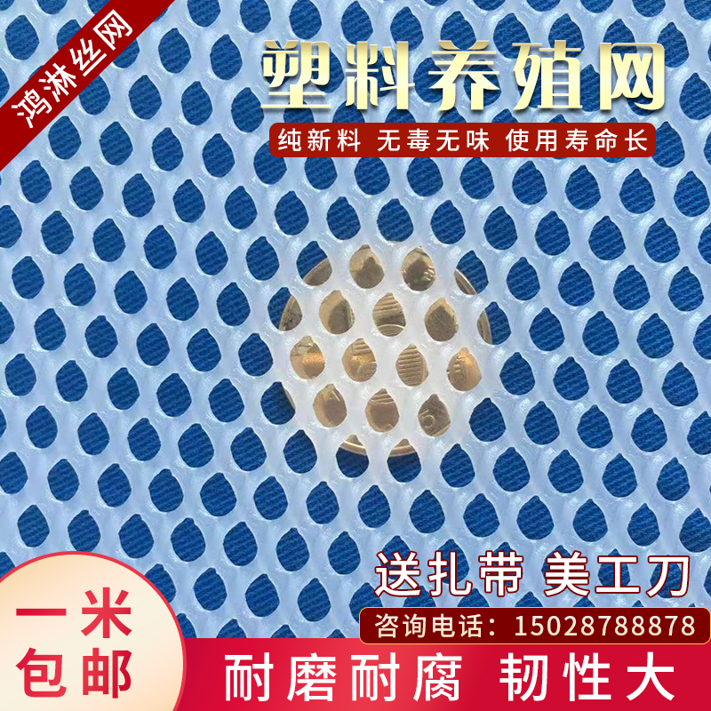 小孔塑料网养殖宠物防护网隔离安全网养鸡防猫封窗平网护栏网胶网