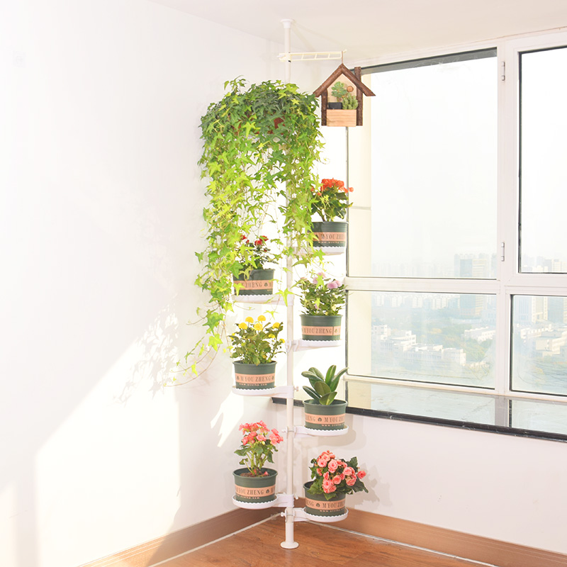 【特大圆花托】新款创意室内客厅窗台阳台多层绿萝顶天立地花架子