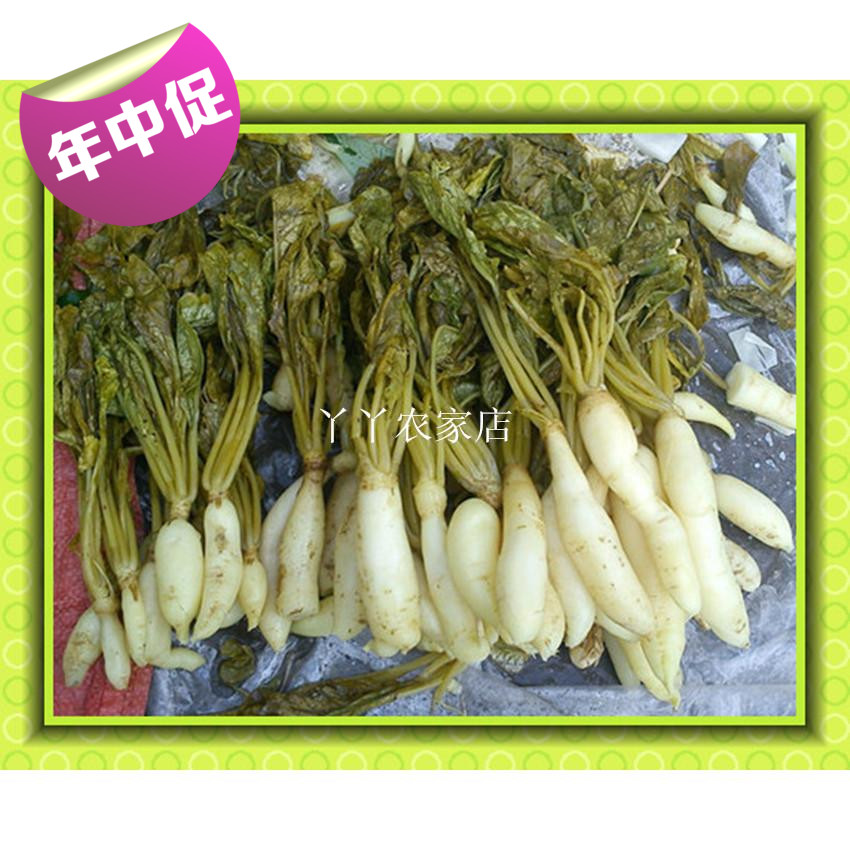 广西灵山特产农家自制萝卜菜腌制疏菜萝卜苗烫水菜无添加500克