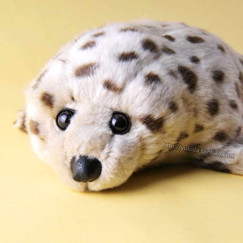 正版加拿大VancouverAquarium海豹仿真 动物毛绒布艺类玩具公仔