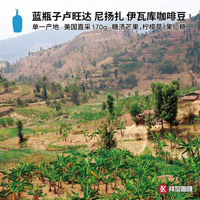 【新品】单一产地美国蓝瓶子卢旺达尼扬扎伊瓦库咖啡豆170g 现货