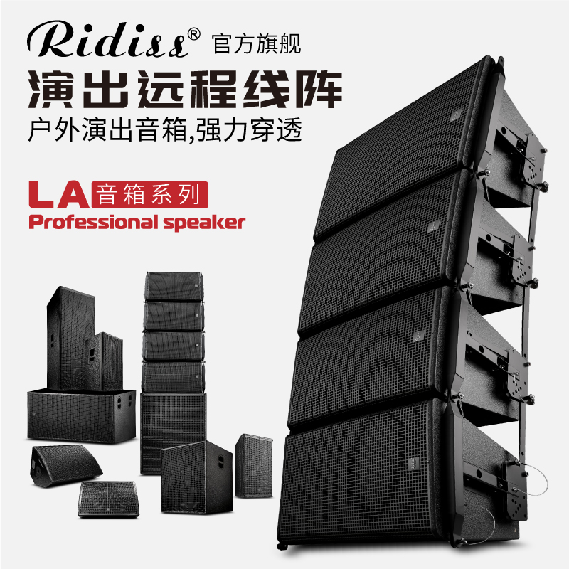 Ridiss LA115 专业单15寸舞台演出hifi音响套装婚庆KTV低音炮音箱
