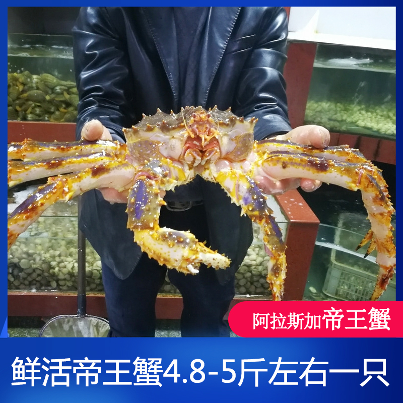 5斤鲜活帝王蟹进口海鲜水产阿拉斯加超特大10面包椰子蟹重庆包活