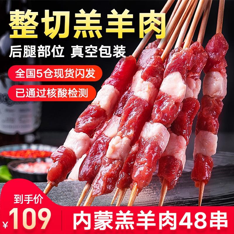 【撸串串】内蒙羊肉串半成品烤串烧烤套餐材料肉串食材48串商用