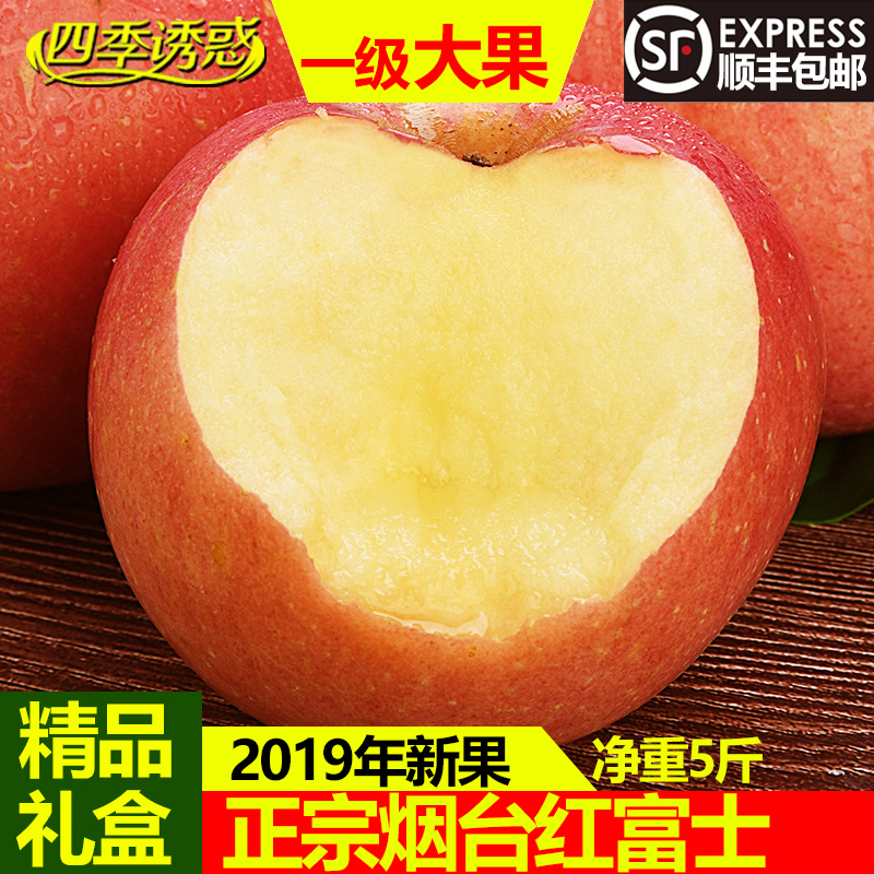 2019年烟台红富士苹果礼盒净重5斤当季新鲜水果栖霞苹果顺丰包邮