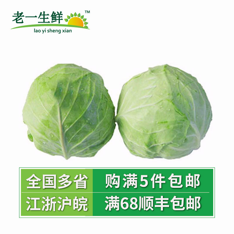 【老一生鲜】 新鲜蔬菜卷心菜  甘蓝菜 绿甘蓝 包心菜 约1000g
