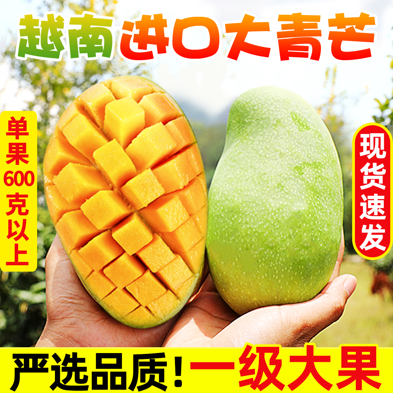 越南进口大青芒10斤新鲜大芒果装热带青皮水果当季特产整箱包邮5