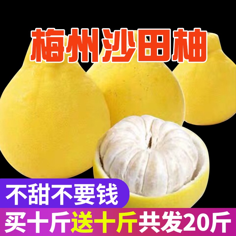 【皇冠店】20斤包邮 正宗梅州沙田柚现摘新鲜当季水果纯甜柚子