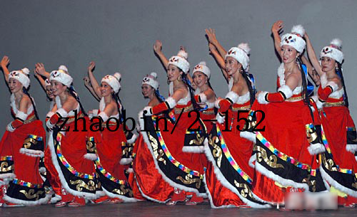 藏族服装/舞蹈演出服装/舞台表演服饰/民族女装/唐古拉风演出服装